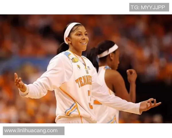 现役篮球足球明星阵容大揭秘各大球星精彩表现一览无余