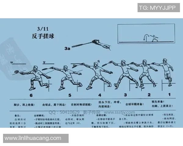 科学乒乓球实力提升秘籍：系统训练方法与技巧解析