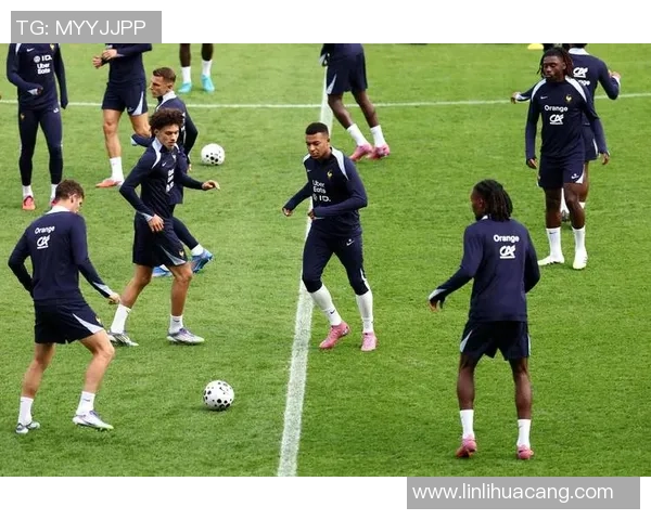 探足球007揭秘足球世界的秘密与激情之旅